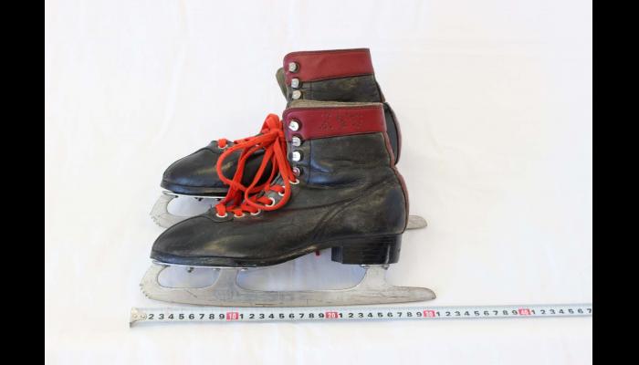 スケート靴25cm（フィギュア用）1